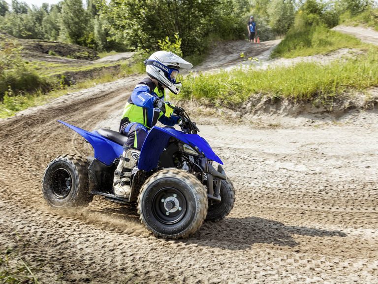 Mini ATV